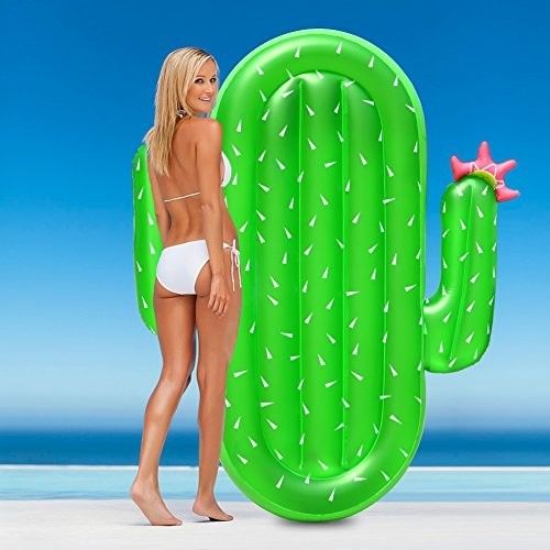 Piscinas de cactus inflables Piscinas de baño al aire libre Piscinas de lago para adultos