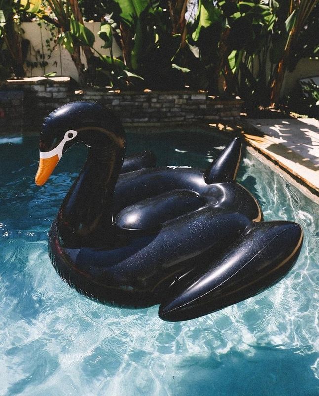 Unicornio Flamenco balsa de playa inflada lago piscina inflada cisne para adultos
