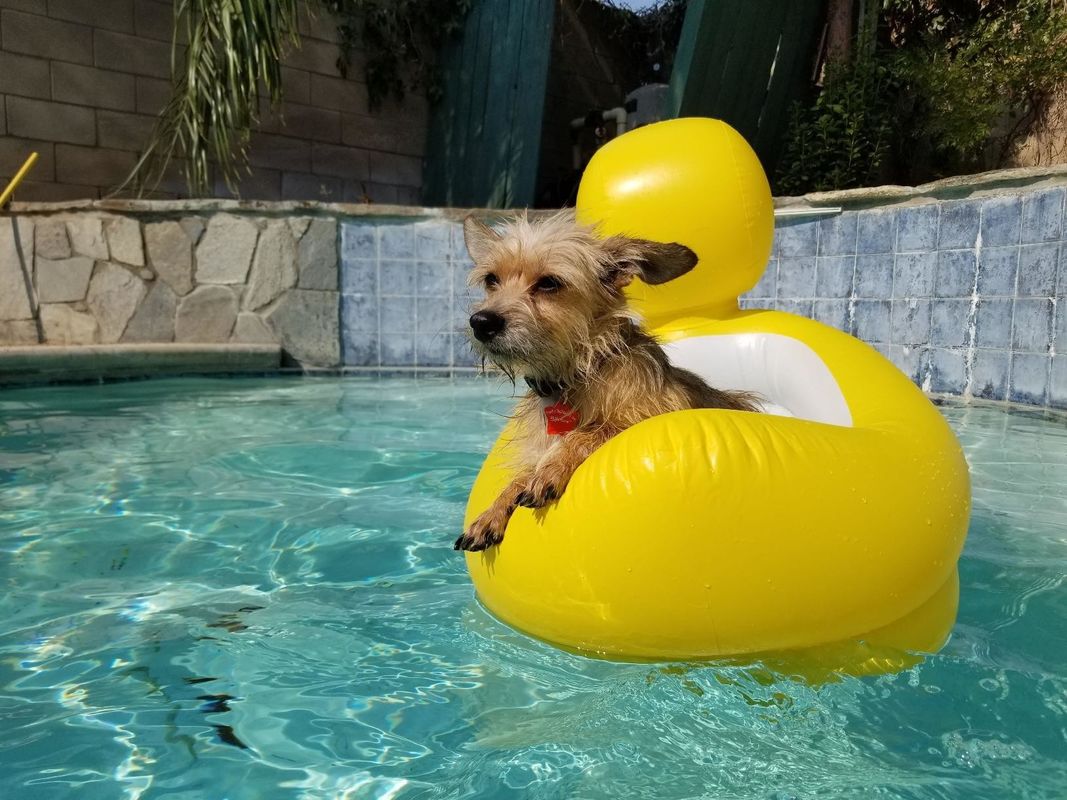 PVC aire soplado piscina agua inflable bañera exterior interior para niños