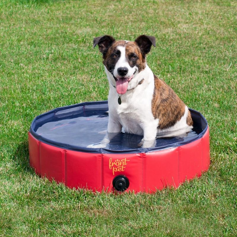 Herramienta de limpieza 120cm bañera portátil para perros para el hogar piscina plegable para mascotas